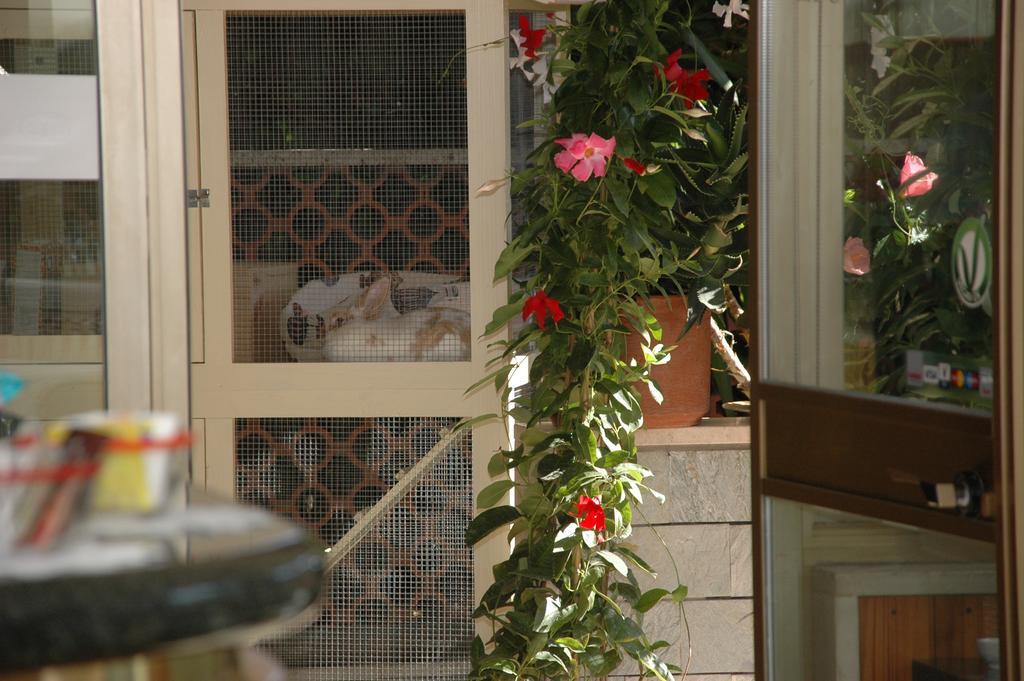 Hotel Ristorante La Terrazza Λίντο ντι Καμαϊόρε Εξωτερικό φωτογραφία